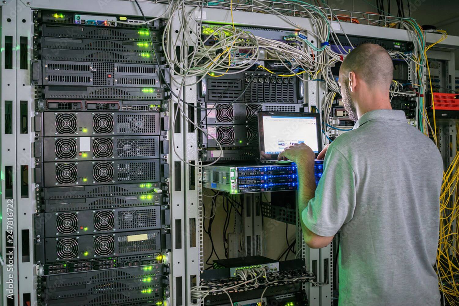 Expert Network Engineers